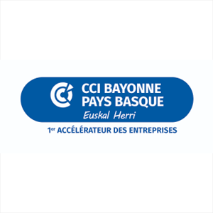 Logo CCI Pays Basque client TDNIM
