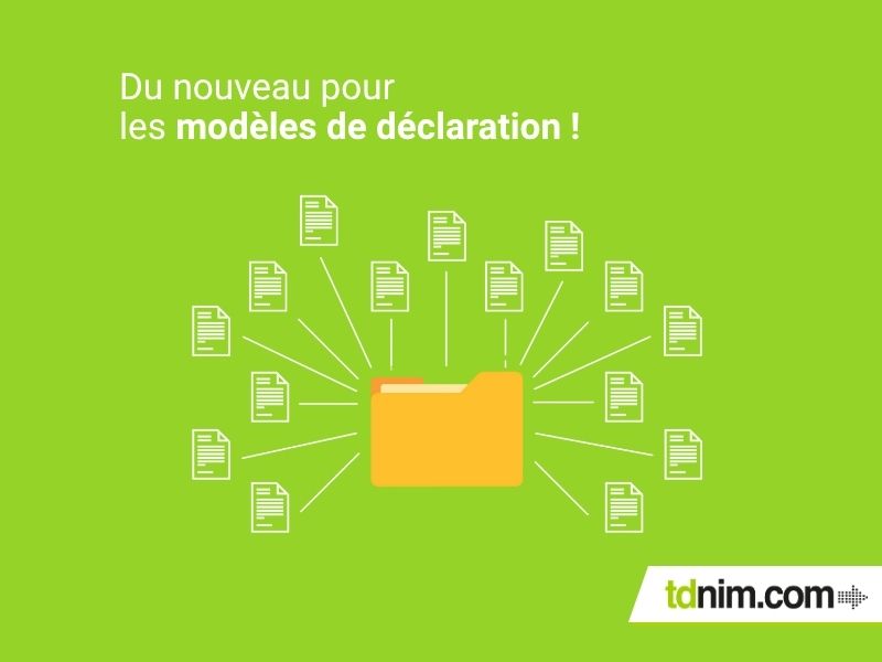 Les modèles de déclaration par TDNIM